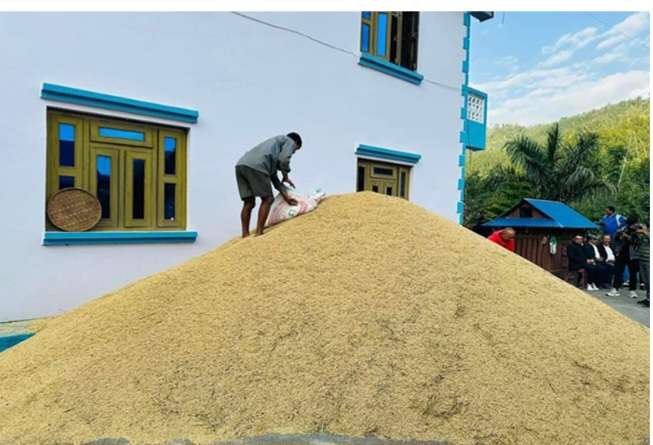 गुल्मीका मेघनाथ अर्यालले फलाए ४०० मुरीधान