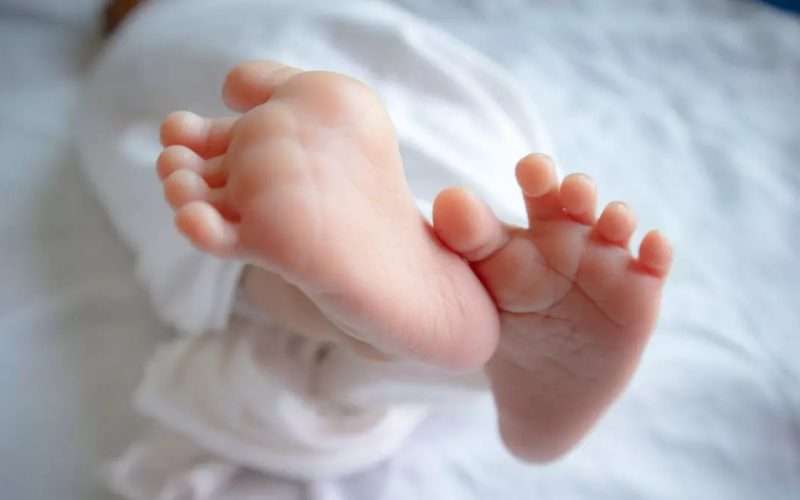 बिर्तामोडमा नवजात शिशु मृतफेला।