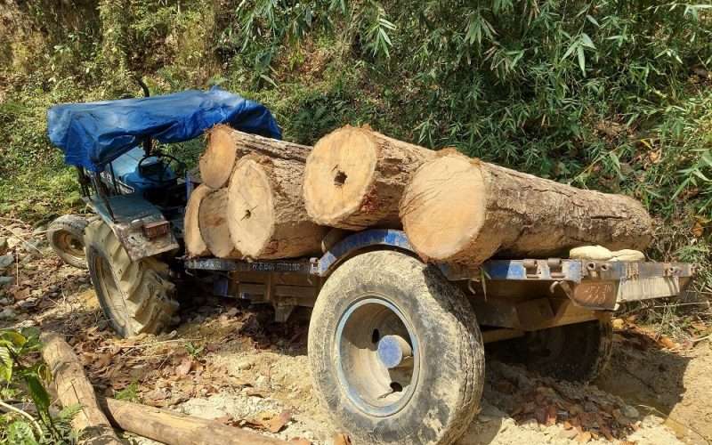 अवैधानिक काठसहित ट्रयाक्टर नियन्त्रण