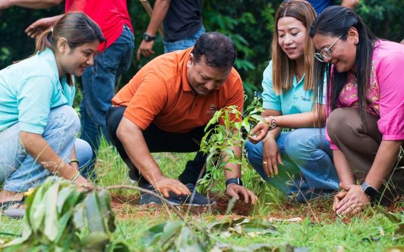 रोटरी क्लब अफ धादिङको हरियाली अभियान – देउराली स्कुलमा ५० भन्दा बढी विरुवा रोपियो