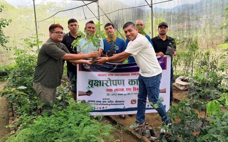 “एक लायन, एक बिरुवा” अभियानः आफ्नै घरआँगनबाट वातावरण संरक्षणमा जुट्यो लायन्स क्लब अफ धादिङ, नीलकण्ठ